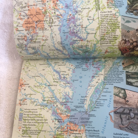 National Geographic Vol. 183 No. 6 June 1993 - Picture 8 of 16